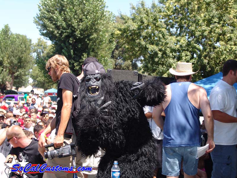 DSC06068