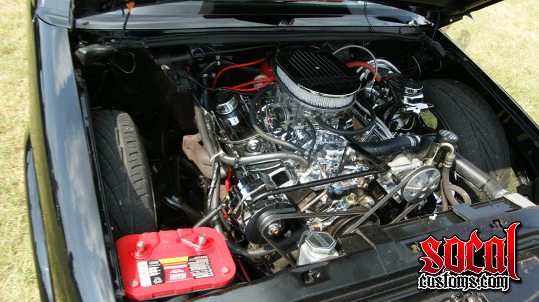 DSC08800